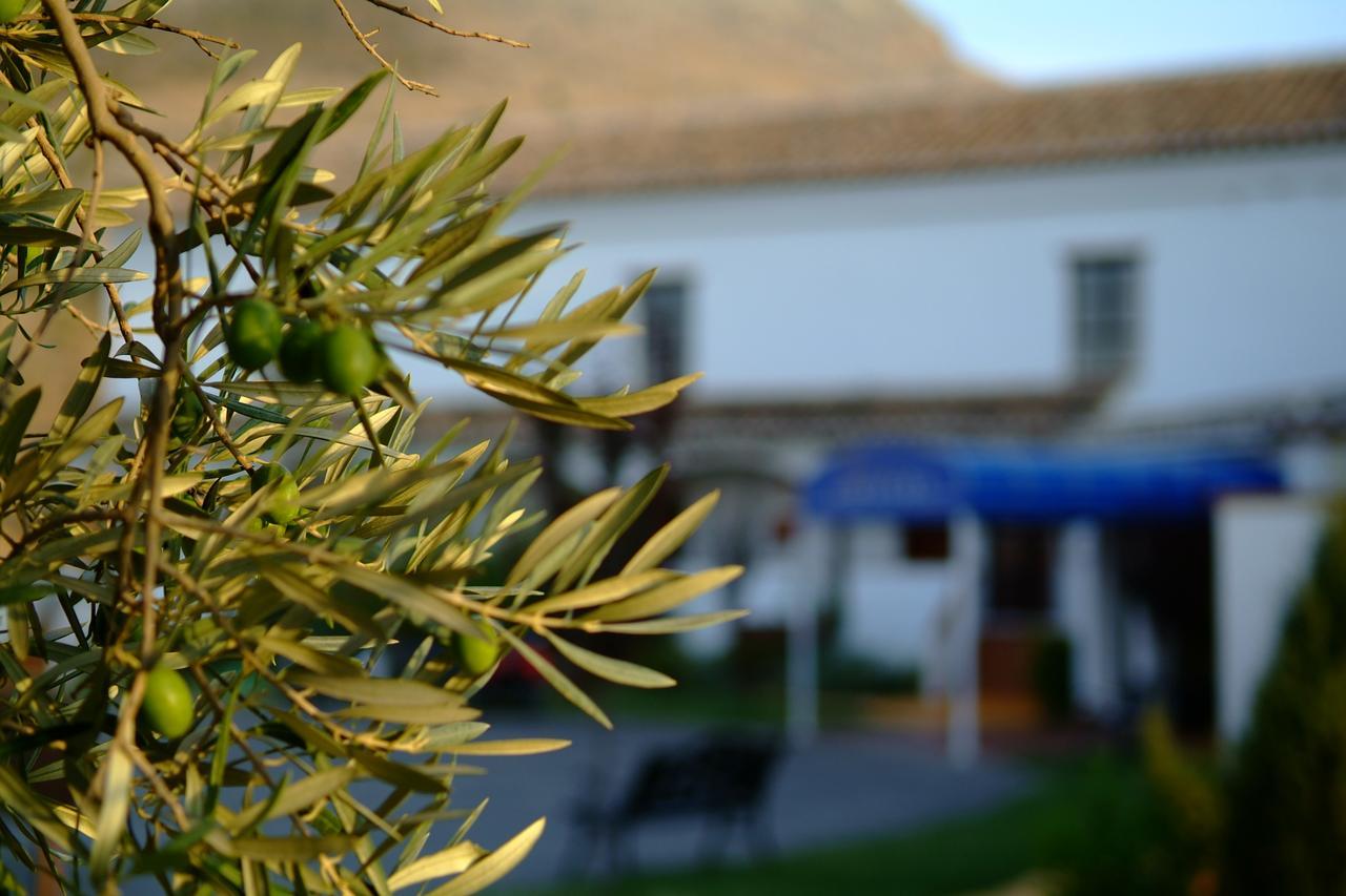 Hotel Almazara Loja Zewnętrze zdjęcie