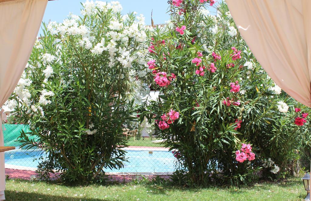Hotel Almazara Loja Zewnętrze zdjęcie